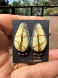Judith Dixon Navajo Royston Ribbon Turquoise Stud Earrings