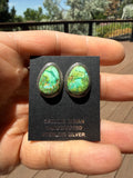 Keith Henry Navajo Sonoran Gold Turquoise Stud Earrings