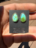 Keith Henry Navajo Sonoran Gold Turquoise Stud Earrings
